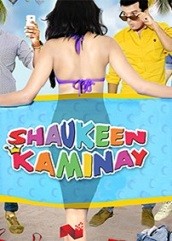 Shaukeen Kaminay (2016)