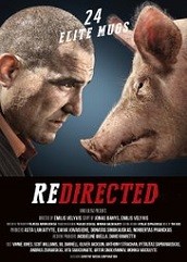 Redirected Hindi Dubbed