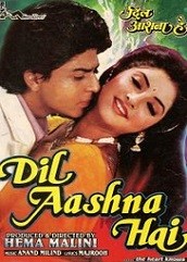 Dil Aashna Hai (1992)