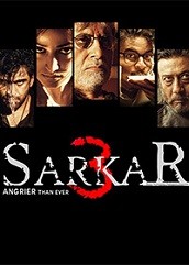 Sarkar 3 (2017)