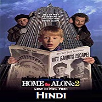 home alone 4 in punjabi full movie