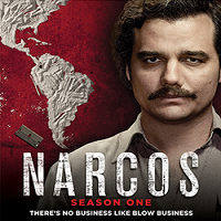Narcos (2015) Season 1 All Episodes Hindi Dubbed