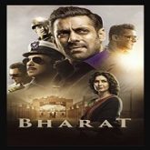 Bharat Hindi Movie (2019)