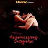 Anniversary Surprise (2019) Hindi Season 1 Complete