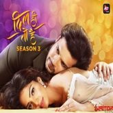 Dil Hi Toh Hai (2020) Hindi Season 3