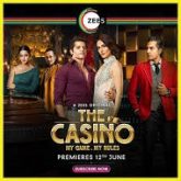 The Casino (2020) Hindi Season 1
