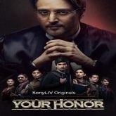 Your Honor (2020) Hindi Season 1