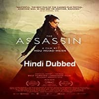 The Assassin 2015 Hindi Dubbed