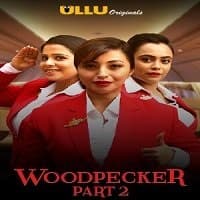 Woodpecker (Part 2) Ullu