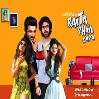 Raita Phail Gaya (2020) Hindi Season 1