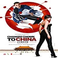 Chandni Chowk to China (2009)