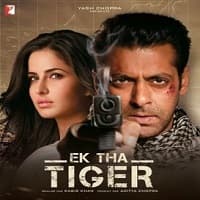 Ek Tha Tiger (2012)