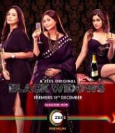 Black Widows (2020) Hindi Season 1