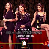 Black Widows (2020) Hindi Season 1