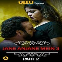 Charmsukh Jane Anjane Mein 3 (Part 2)