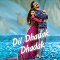 Dil Dhadak Dhadak 2021 Hindi Dubbed