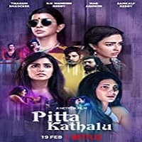 Pitta Kathalu (2021) Hindi Season 1