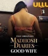Madhosh Diaries (Good Wife)
