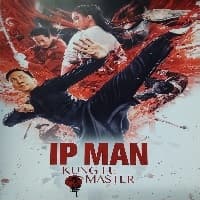 Ip Man: Kung Fu Master Hindi Dubbed