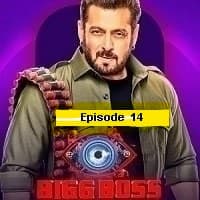 Bigg Boss (EP 14) Hindi Season 17