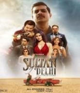 Sultan of Delhi (2023) Hindi Season 1