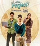 Miss Perfect (2024) Hindi Season 1