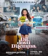 Dil Dosti Dilemma (2024) Hindi Season 1