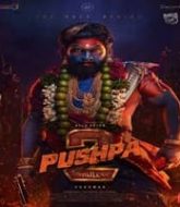 Pushpa 2 Hindi Dubbed